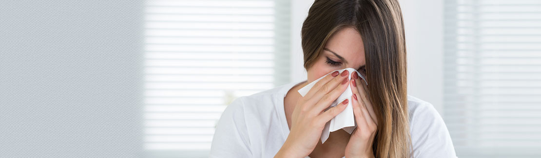 Schnupfen & Sinusitis