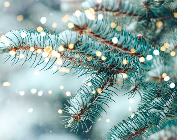 Weihnachtsdüfte & Kerzen