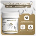 Schüssler Salz Nr. 3 Ferrum phosphoricum D 12 (BIOCHEMIE Senagold) Tabletten