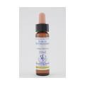 BACHBLÜTEN Star of Bethlehem Healing Herbs Tropfen