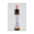 BACHBLÜTEN Willow Healing Herbs Tropfen
