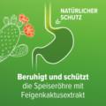 REFLUTHIN bei Sodbrennen Kautabletten Frucht