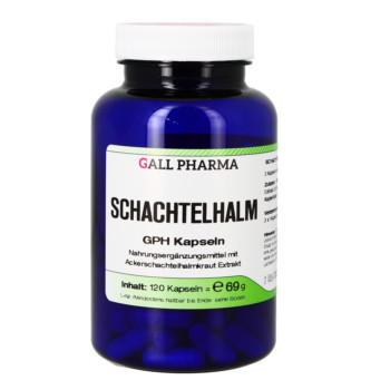 SCHACHTELHALM KAPSELN