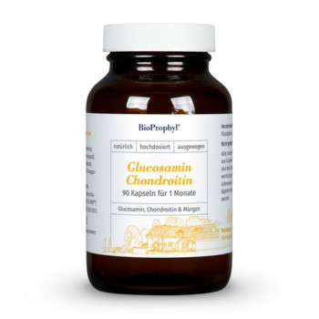 GELENKKOMPLEX Glucosamin 400 mg Chondroitin 200 mg