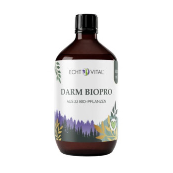 ECHT VITAL Darm Biopro flüssig