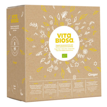 VITA BIOSA Ingwer Kräuterfermentgetränk