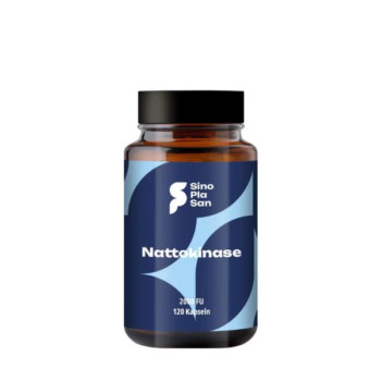 NATTOKINASE 100 mg Mono 20.000 FU Kapseln