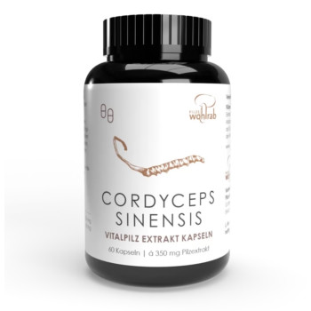 CORDYCEPS SINENSIS Extrakt Konventionell Kapseln