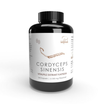 CORDYCEPS SINENSIS Extrakt Konventionell Kapseln