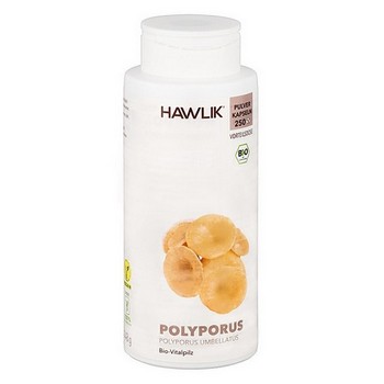BIO POLYPORUS Pulver Kapseln