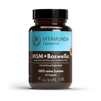LIPOSOMALES MSM+Boswellia Kapseln