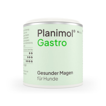 Planimol Gastro Tabletten