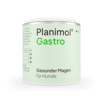 Planimol Gastro Pulver